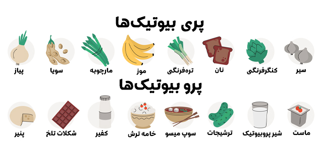 پروبیوتیکها و پریبیوتیکها پروبیوتیکها و پریبیوتیکها