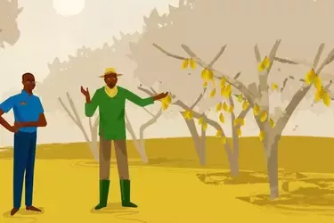 کشاورزی بهتر